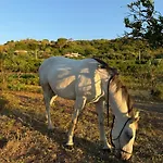 Casale Morillo