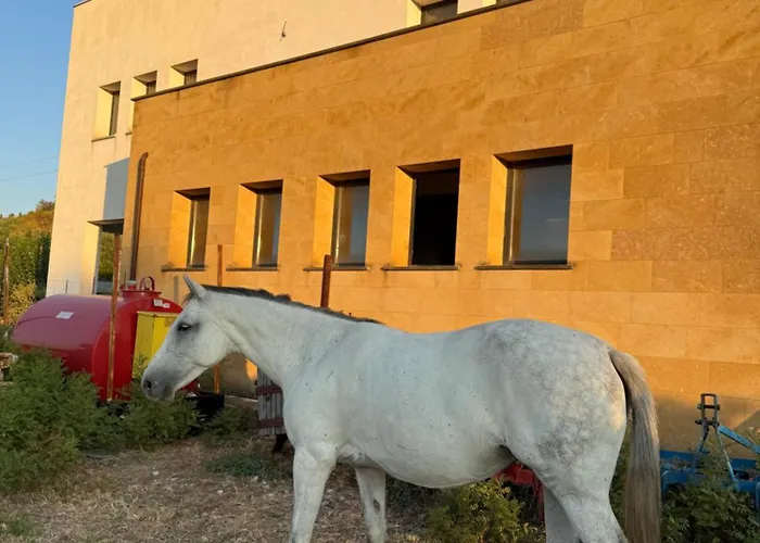 Casale Morillo Appartamento Campofelice Di Roccella