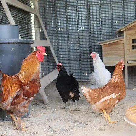 Casale Morillo Apartment *