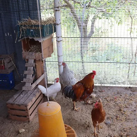 Apartment Casale Morillo