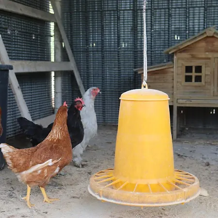 Apartment Casale Morillo *