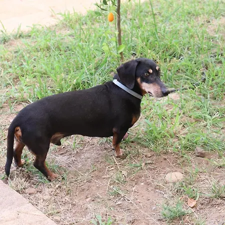 Apartment Casale Morillo