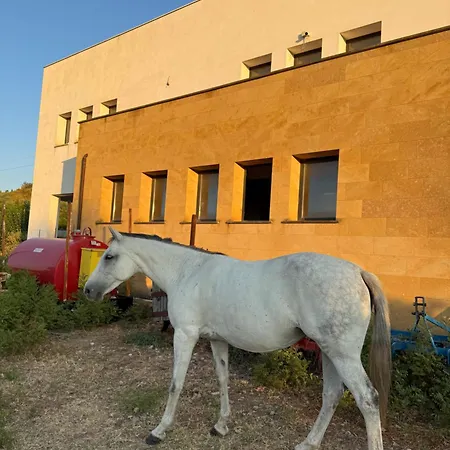 Casale Morillo Apartment Campofelice Di Roccella