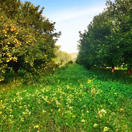 Casale Morillo Apartment *