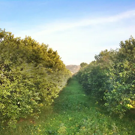 Casale Morillo Apartment Campofelice Di Roccella